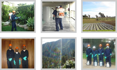 Visite nuestra galeria