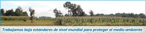 FumiAgro
